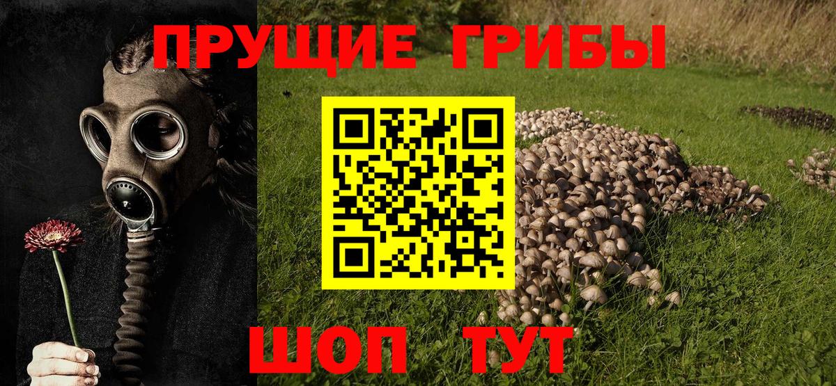 Галлюциногенные грибы Magic Shrooms  Вход с VPN  Псилоцибиновые грибы Psilocybe  Минеральные Воды 